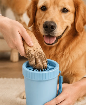 Grooming & paw care
